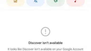 Capture d'écran de Google App 1