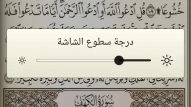 Capture d'écran de القرآن الكريم كامل مع التفسير‎ 3