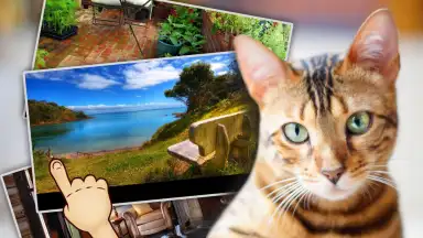 Capture d'écran de Find Kitten 1