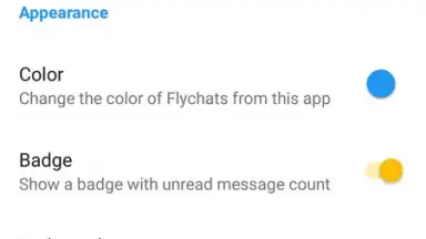 Capture d'écran de Flychat 7