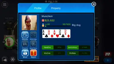 Capture d'écran de Dinger Poker 2