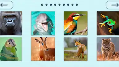 Capture d'écran de Puzzles without Internet 3