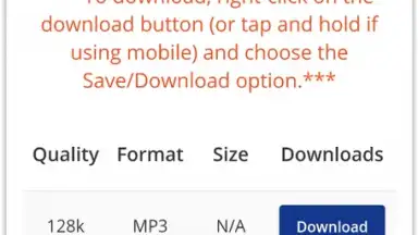 Capture d'écran de Pick Video downloader 2