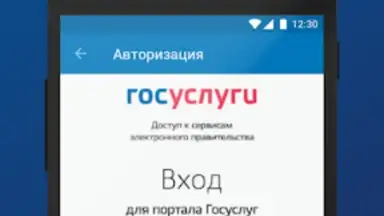 Capture d'écran de ПФР Электронные сервисы 6