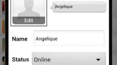 Capture d'écran de eBuddy Messenger 1
