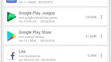 Capture d'écran de AppsManager 8