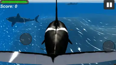 Capture d'écran de Orca Simulator 3