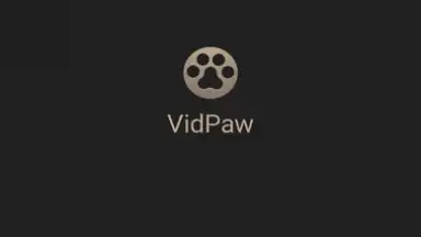 Capture d'écran de VidPaw App 3