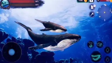 Capture d'écran de The Humpback Whales 18