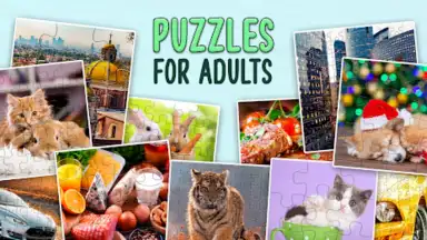 Capture d'écran de Puzzles without Internet 9