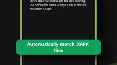Capture d'écran de XAPK Installer 4