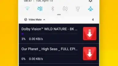 Capture d'écran de Vidora YouTube Downloader | free & fast 10