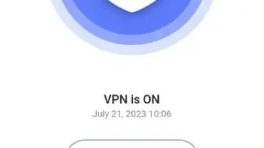 Capture d'écran de Veilduck VPN 1