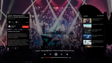 Capture d'écran de YouTube VR 1