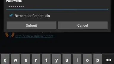 Capture d'écran de OpenVPN Connect 14