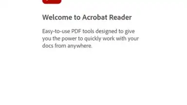 Capture d'écran de Adobe Acrobat Reader 10