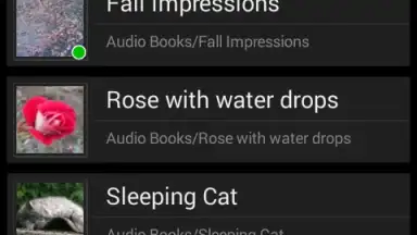 Capture d'écran de Music Folder Player Free 2