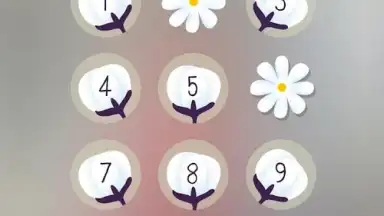 Capture d'écran de PIP Lock Screen 23
