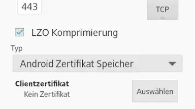 Capture d'écran de OpenVPN 7