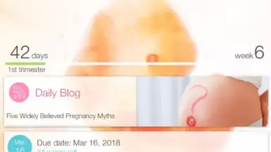 Capture d'écran de Pregnancy + 17