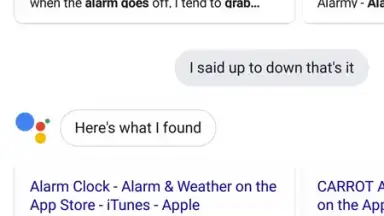 Capture d'écran de Google Assistant Go 2