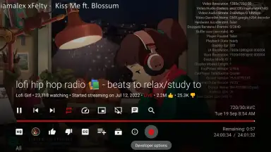 Capture d'écran de SmartTube 8