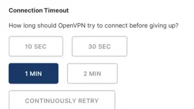 Capture d'écran de OpenVPN Connect 12