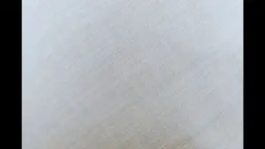 Capture d'écran de HedgeCam 2 7