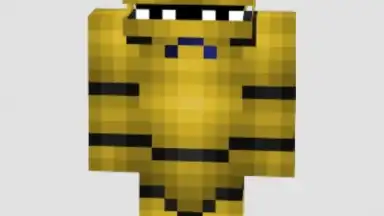 Capture d'écran de Skins For Minecraft 4