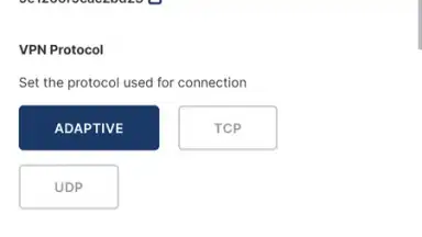 Capture d'écran de OpenVPN Connect 11