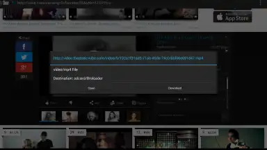 Capture d'écran de Broloader Video Downloader 10