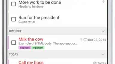 Capture d'écran de Tasks & Notes 4
