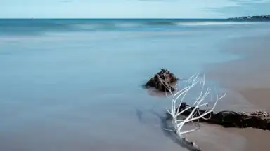 Capture d'écran de Mi Wallpaper Carousel 1