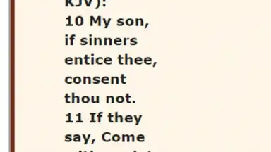 Capture d'écran de The Message Bible Free MSG 1