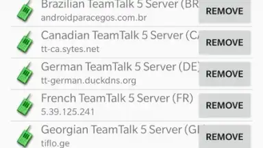 Capture d'écran de TeamTalk 1