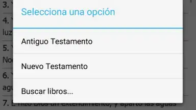 Capture d'écran de La Santa Biblia 3