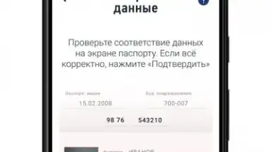 Capture d'écran de Мой Налог 3