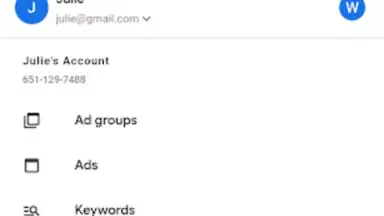 Capture d'écran de Google Ads 1