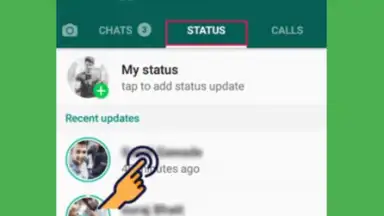 Capture d'écran de Guardar Estados de WhatsApp 2