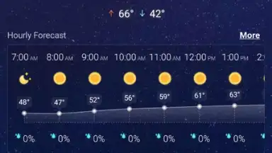 Capture d'écran de Local Weather Widget 12