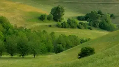 Capture d'écran de Yandex Launcher 1