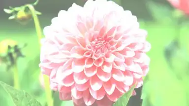 Capture d'écran de After Effect 9