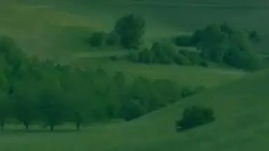 Capture d'écran de Yandex Launcher 3
