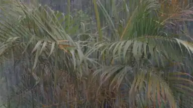 Capture d'écran de Relax Rain 5