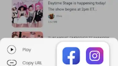 Capture d'écran de Downloader for TikTok 3