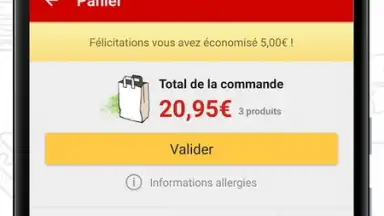 Capture d'écran de ALLO RESTO 5