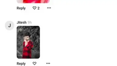 Capture d'écran de Pinterest 16