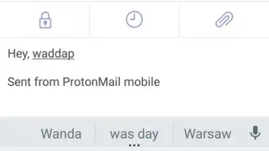 Capture d'écran de Proton Mail 2