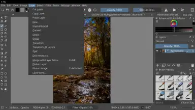 Capture d'écran de Krita 5