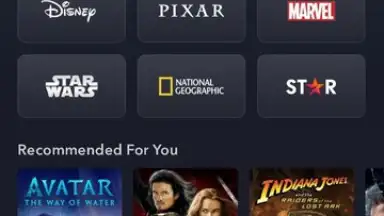 Capture d'écran de Disney+ 4